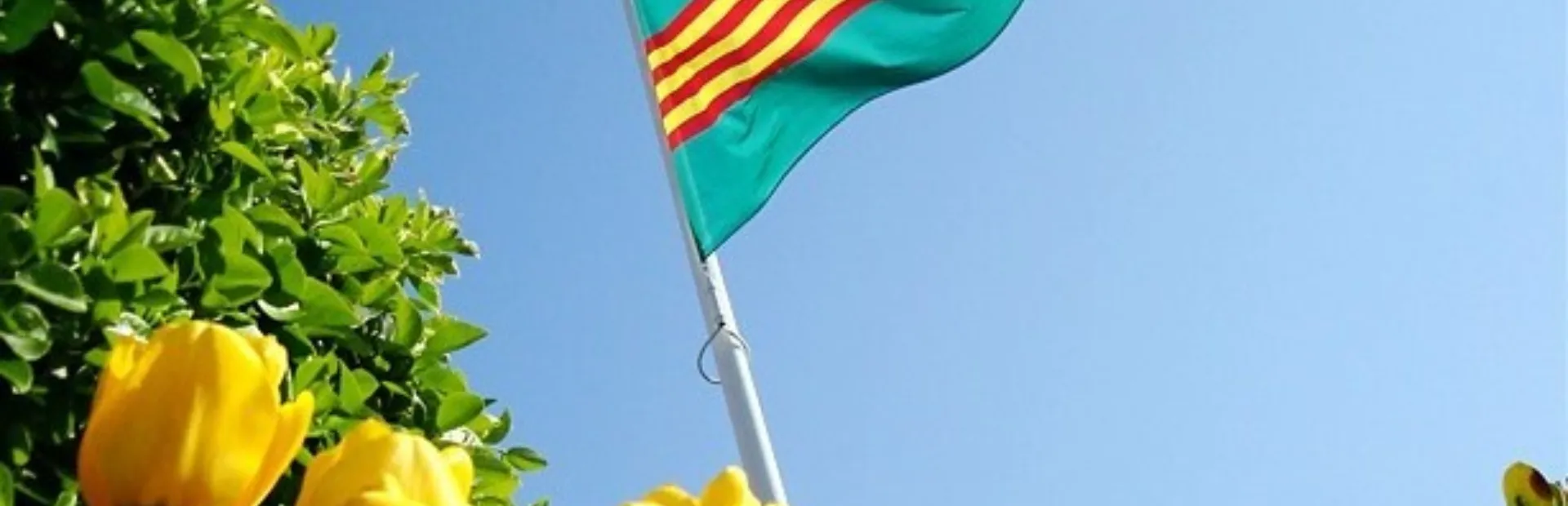 Flag Holland