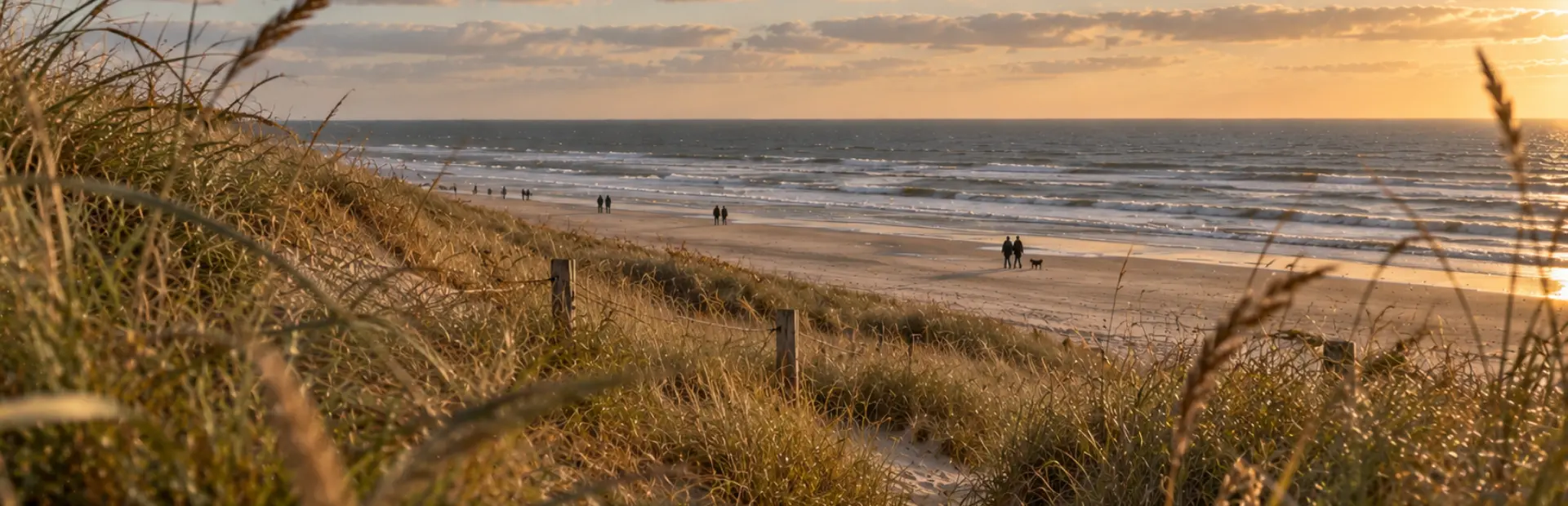 Gouden uur aan de kustduinen