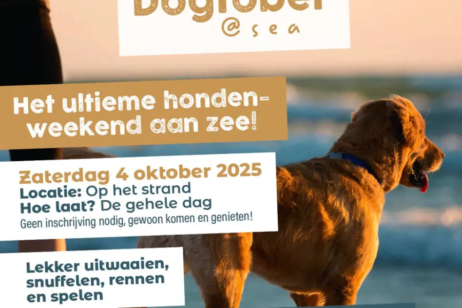 78bffeb7 4252 4ff3 8cce 5955db46af0e dogtober at sea 960x640